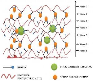 Figure 1: Scheme showing overall proposed application of LBL self- assemblies in oral drug delivery