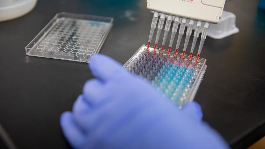 Gloved hand in lab with tray of chemicals 